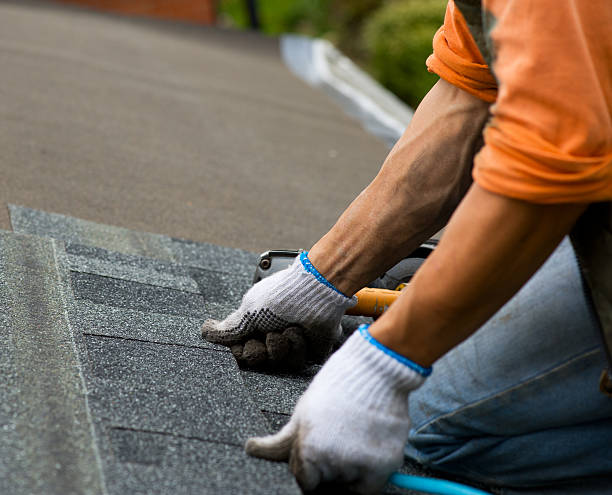 Best Metal Roofing Contractor  in Manchester, VA